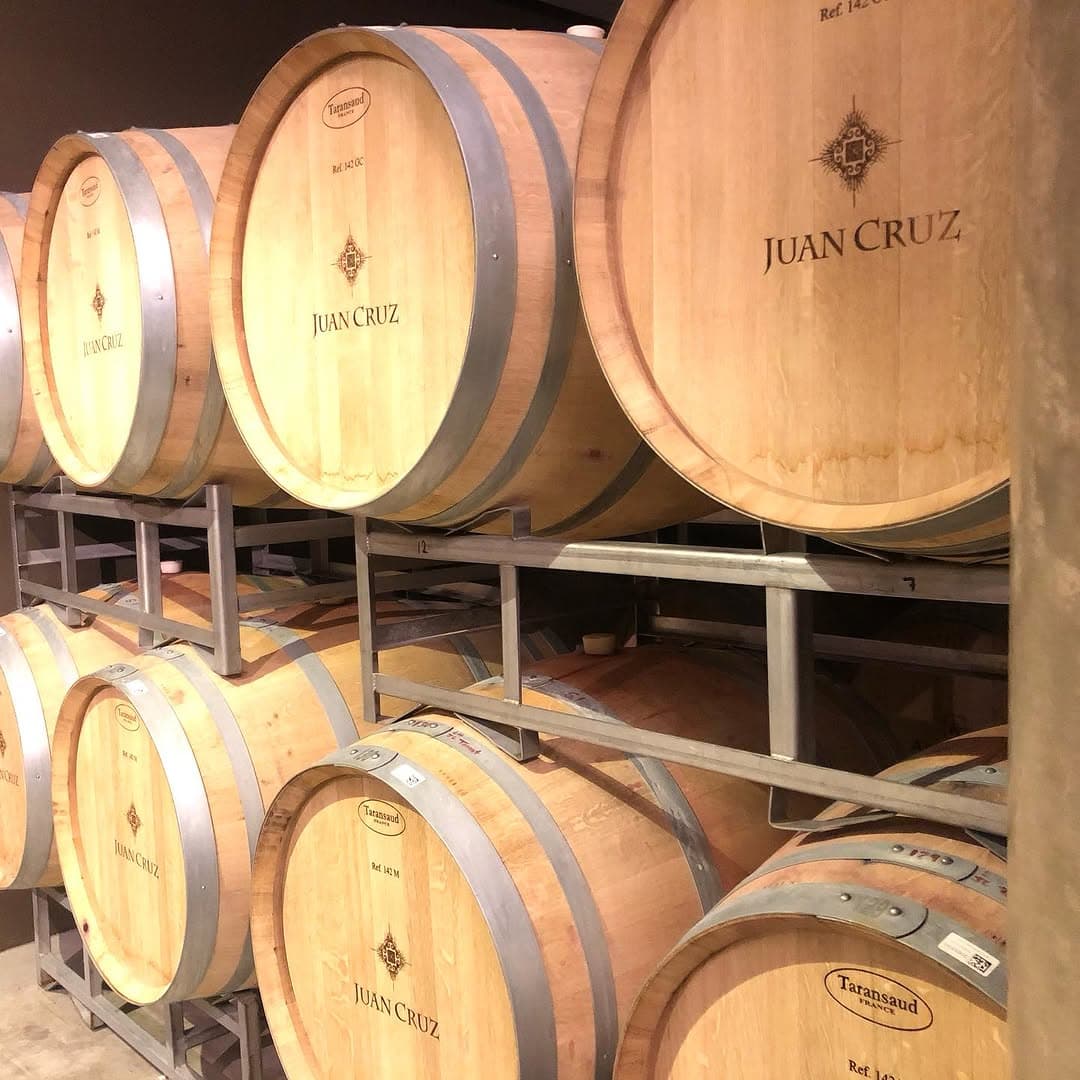 Barricas de vino en una bodega de Tarija